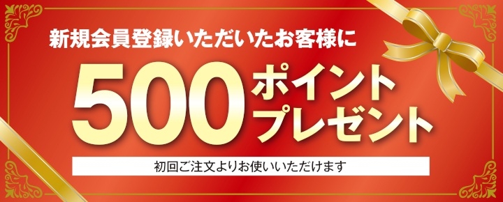 Ͽ500ݥȥץ쥼2025